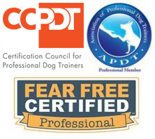 Dog-friendly, no-force, professional dog training & behavior