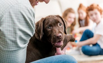 Good Pup! Live Virtual Life Skills Class