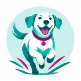 day-training-classes-for-dogs-class-icon1
